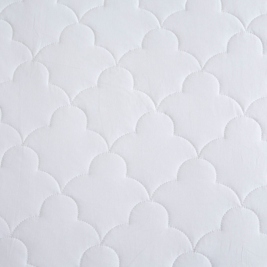 25720617