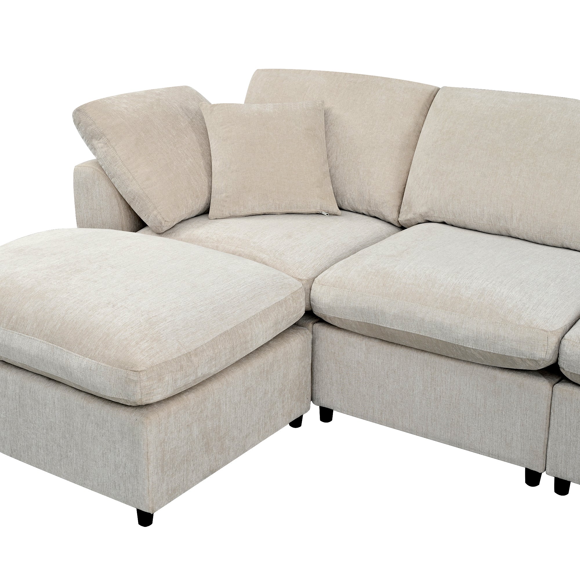 25562717