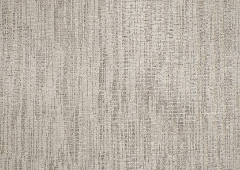25562817